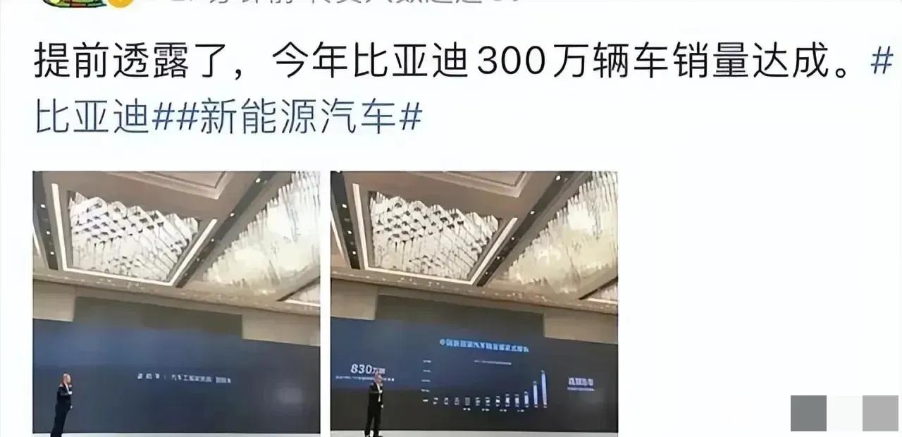 300万没有悬念了，直接就达成了，比亚迪在最后的冲刺阶段确实猛，年销量已经完成，