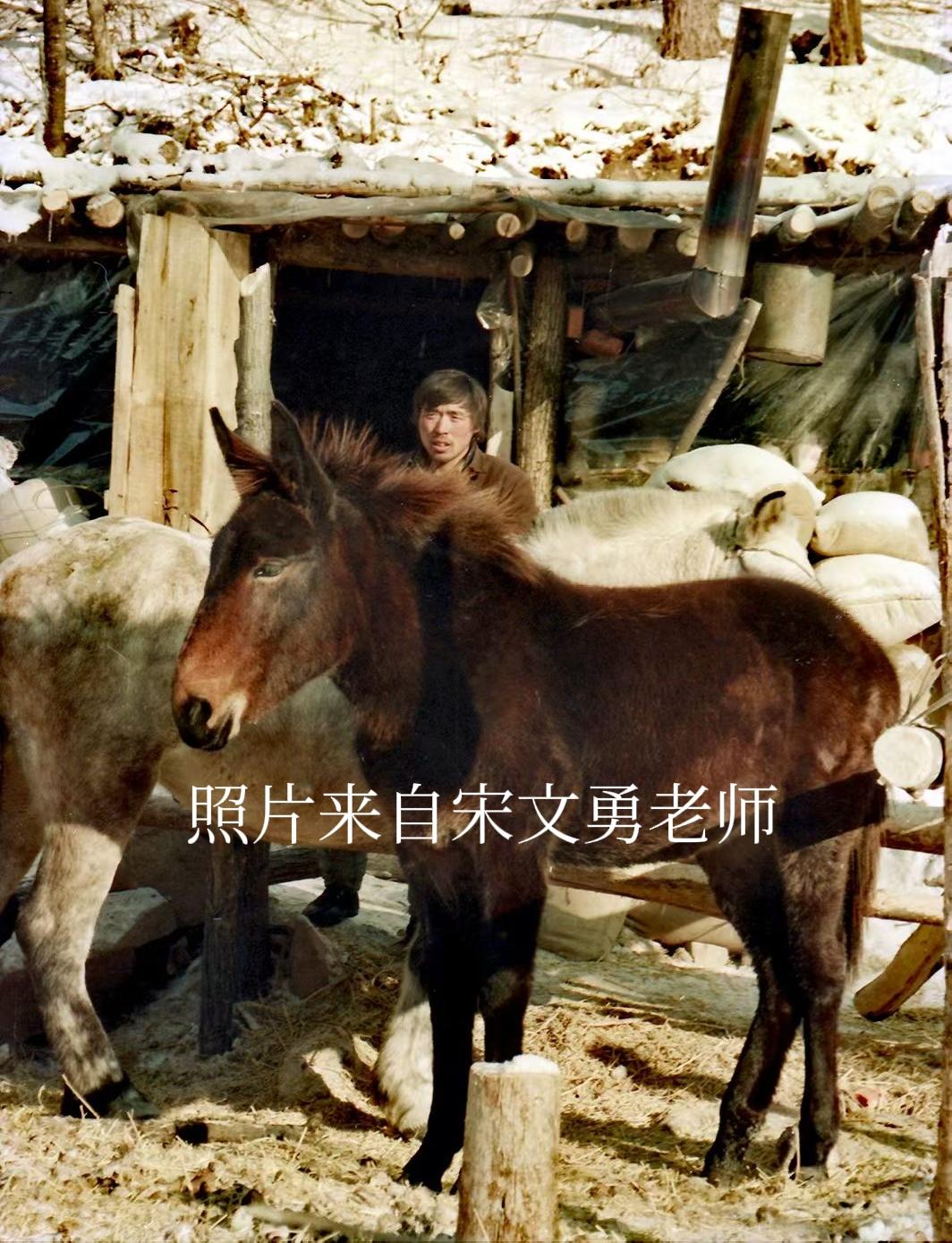 小时候我家在牡丹江天桥北转盘道地直机关家属宿舍26栋10号。
​冬天的时候，一听