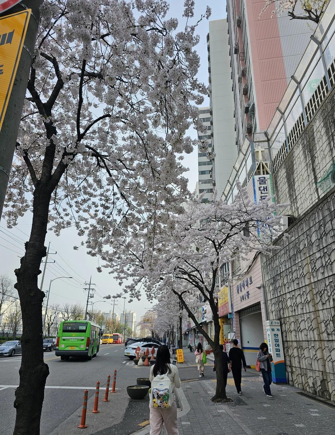 一起见证最幸福的模样
春夏秋冬，还有秋天还没在首尔没见面！