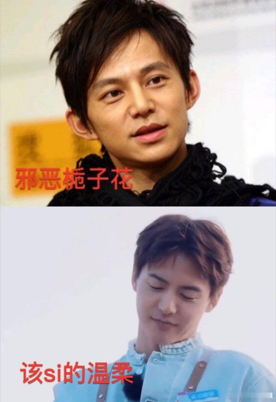 何炅的栀子花🆚马天宇的温柔从此具象化了[喵喵]#马天宇 你装完了吗# ​​​
