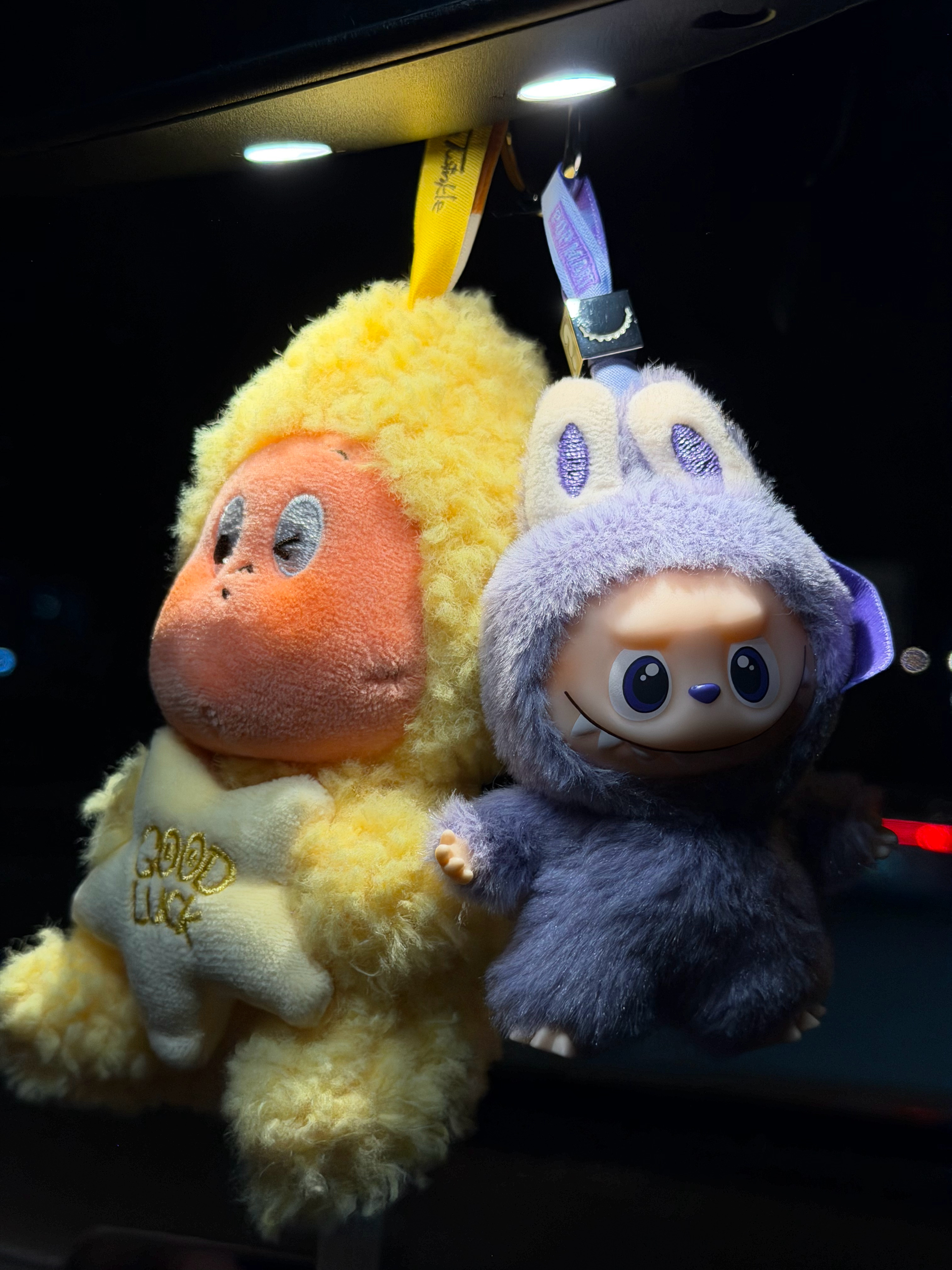 新年快乐  用2025年最后一天抽到的心仪的Labubu，祝大家新年快乐。 