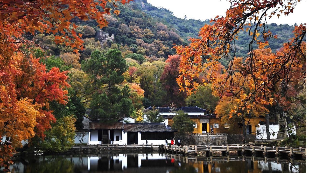 天平枫叶红
第二波
天平枫叶为这样这样红？
范仲淹的鲜血染红了它！