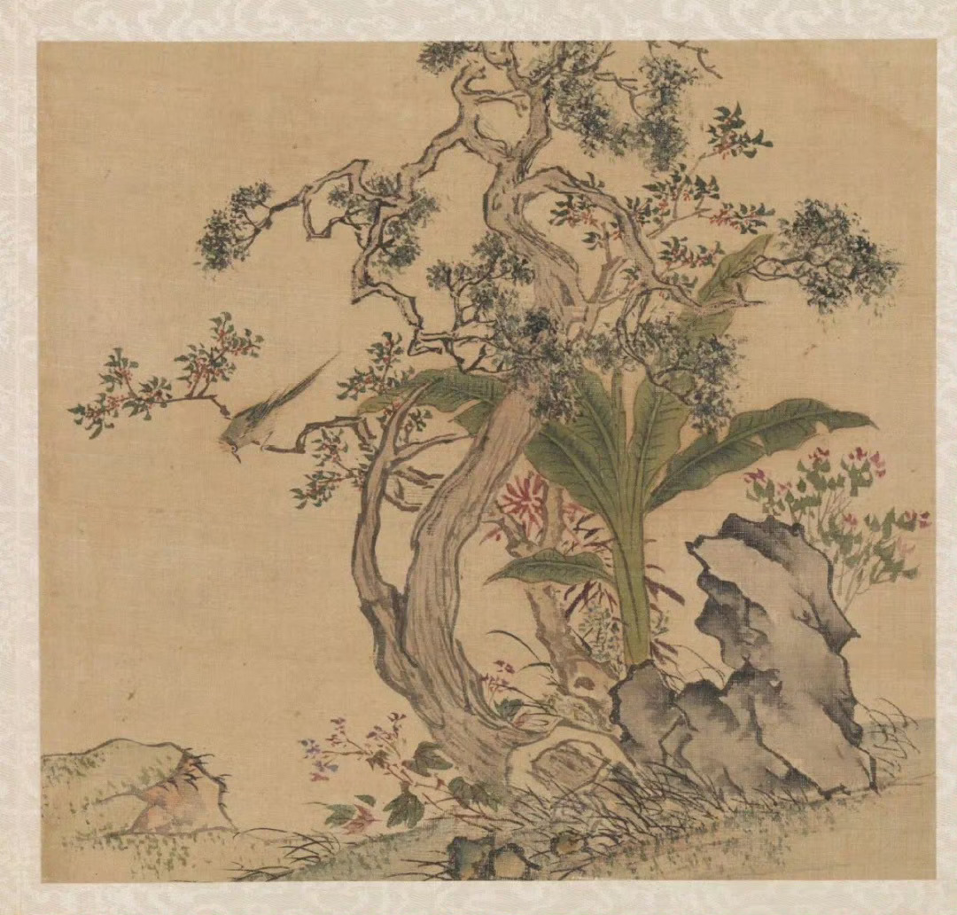 明·周之冕写生册  台北故宫博物院藏周之冕，1521年出生，明代杰出画家，字服卿