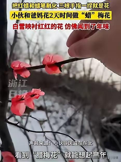 “万万没想到！”吉林一小伙带女朋友回家见父母，谁知，女友刚到他家就看到院子里腊梅