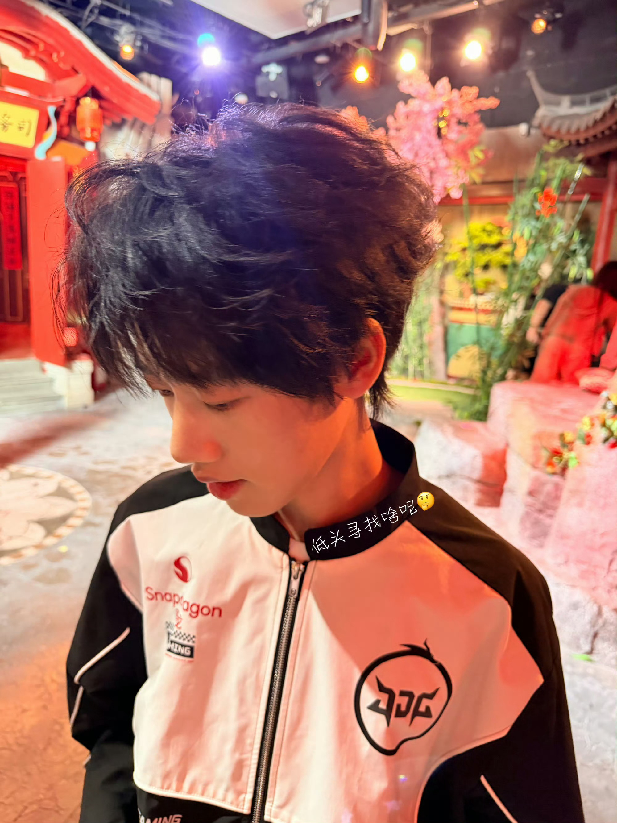 清融的七月就这样飞速过去这只萌猫的七月很忙碌很充实很圆满～清融八月巴黎之旅玩得开