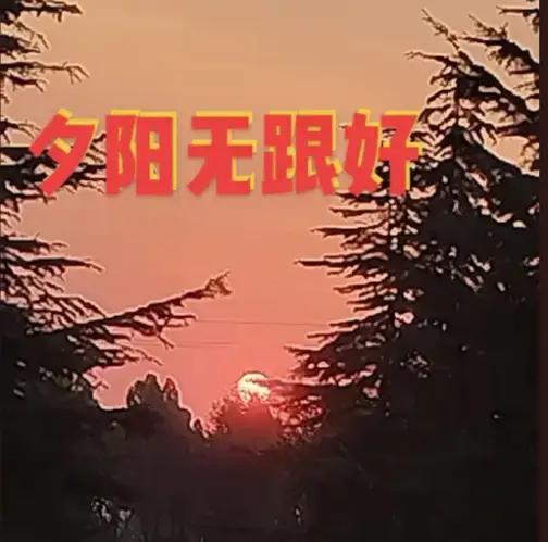 “夕阳落日云影轻，偷得浮生半日宁”，这句诗简直把闲适惬意描绘得淋漓尽致。就像我上