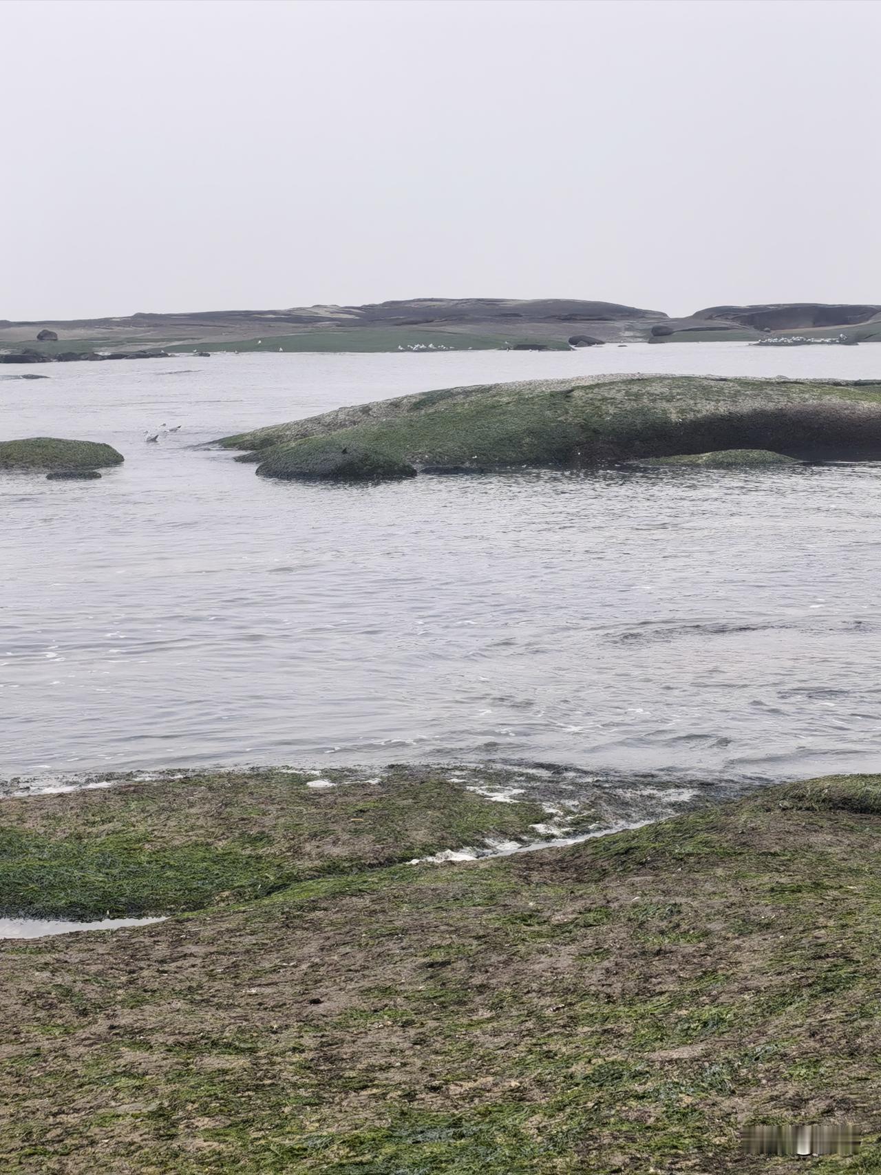 冬日好去处昨日去海龙湾景区，一片寂静，雾蒙蒙的天，凉嗖嗖的，这冬天没有来玩的。
