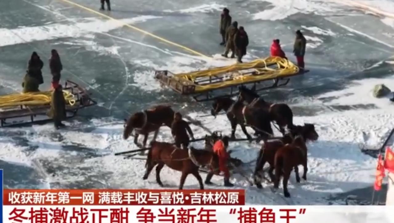 吉林松原冬捕的新年丰收画卷
 
短片展现吉林松原查干湖新年冬捕的震撼场景，冰封湖