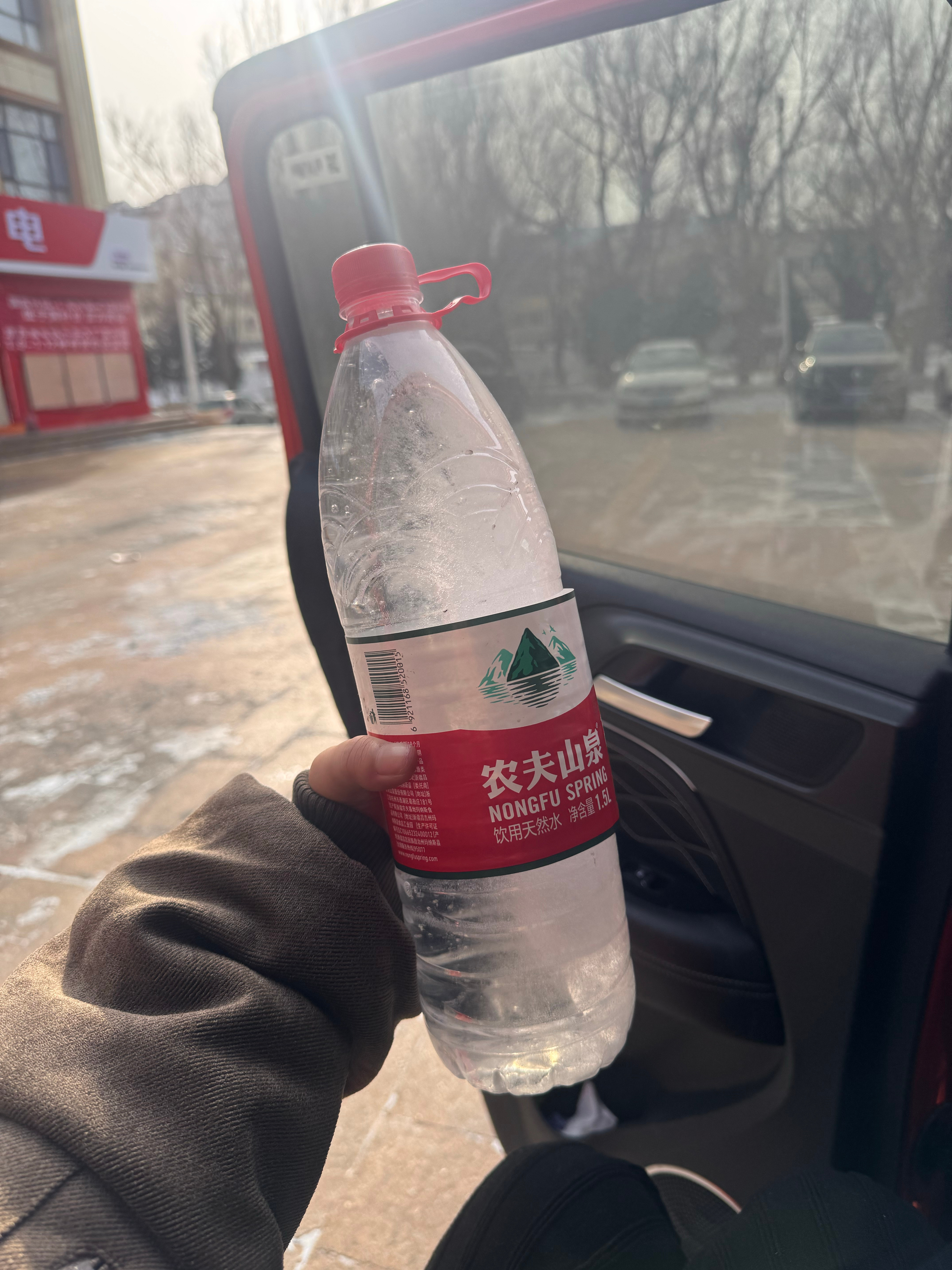 放在车里忘记拿，结果全冰住了 