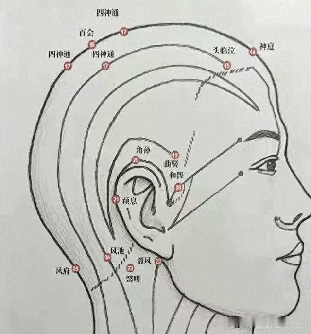 耳后四个凹陷，各管一件事——老花眼耳鸣、失眠血压高，一次说清