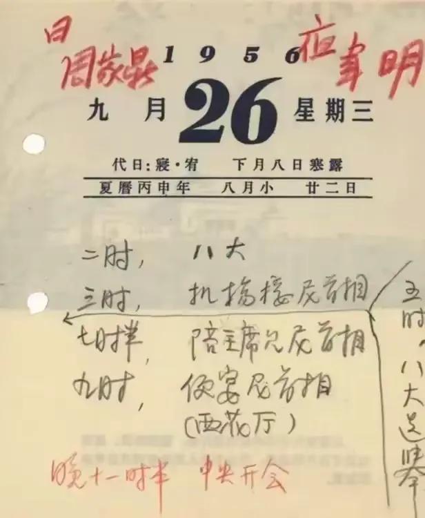“看看总理的一天！”
