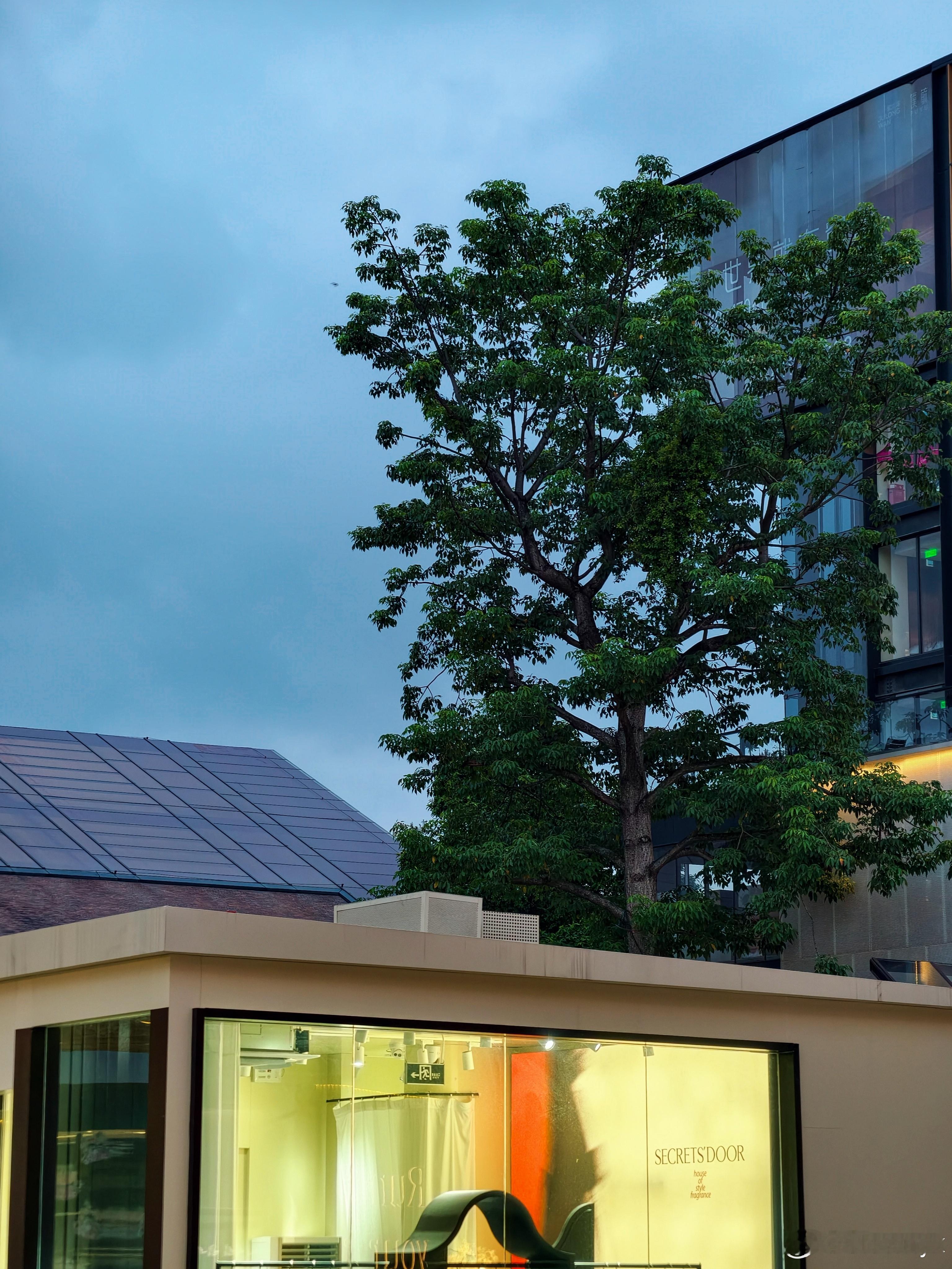 青岛骂人男子道歉一开始公众愤怒这名男子的言行随着舆论发酵，一些回应更是刺激了公众