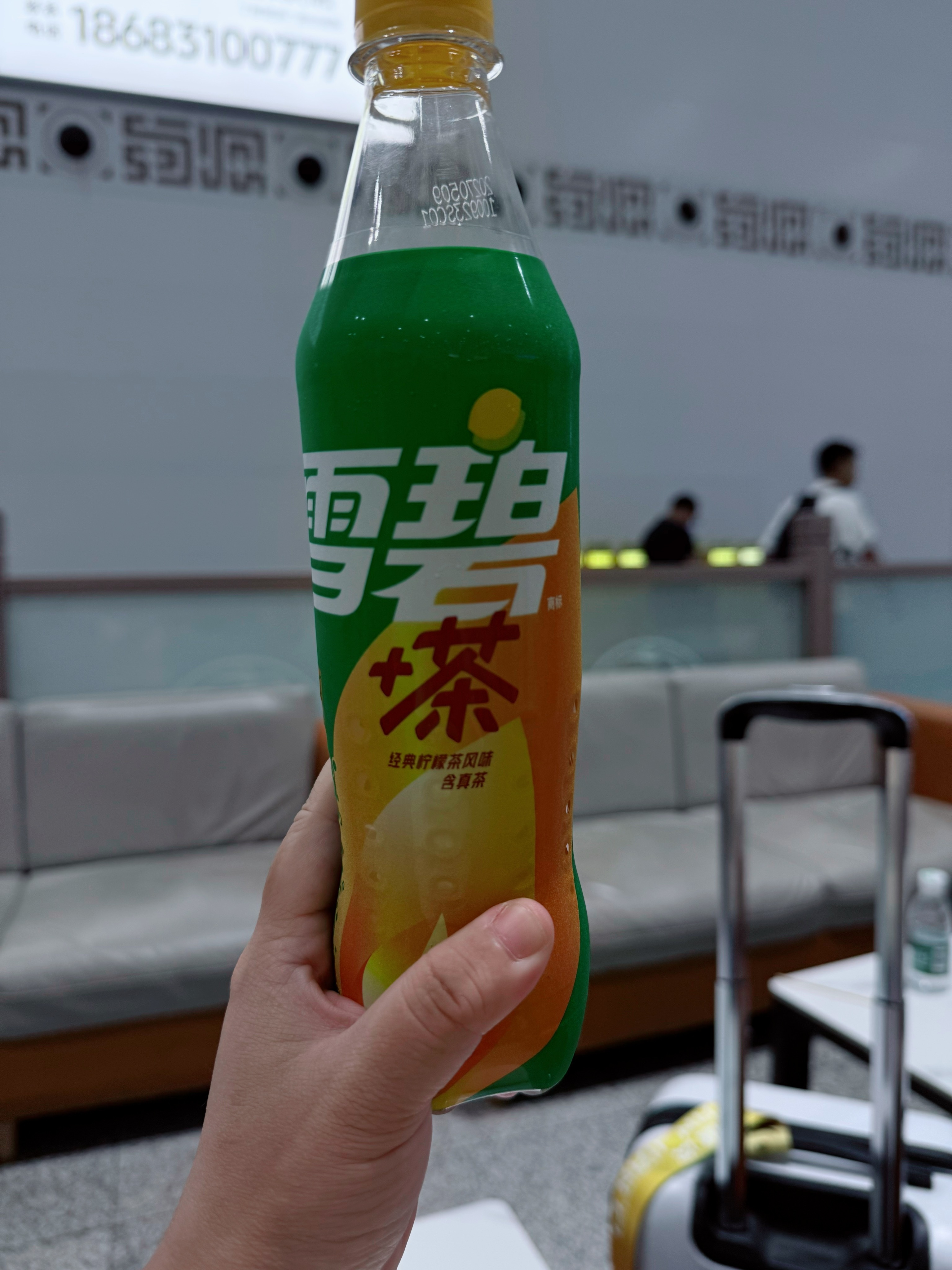 落地签就是：加加加加加加加加加加(摇头晃脑)…就是这一瓶(绿毛转圈)雪碧加茶啊~