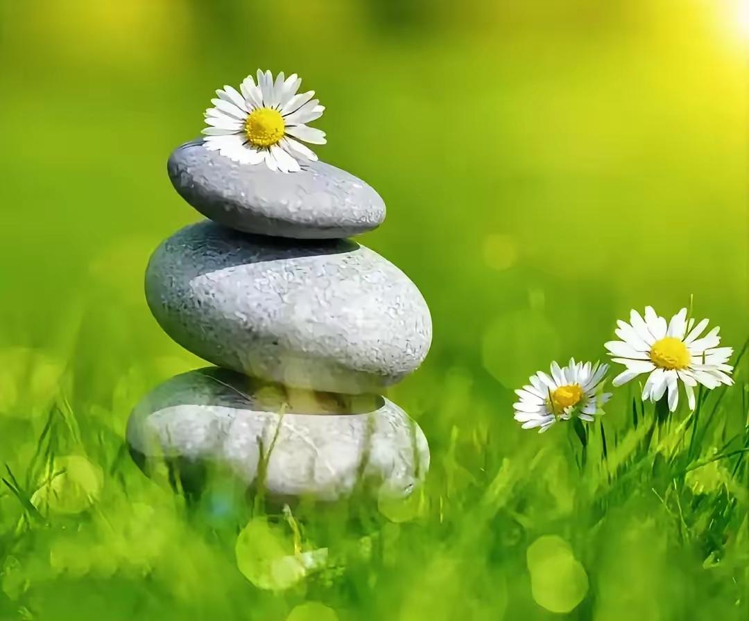 蔡澜先生说：“女人没有了男人，就像鱼没有了自行车，不但毫无影响，而且游得更快了。