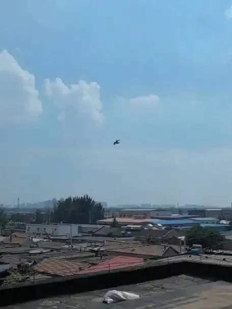 震撼！数百只和平鸽集体归巢，主人一声哨响