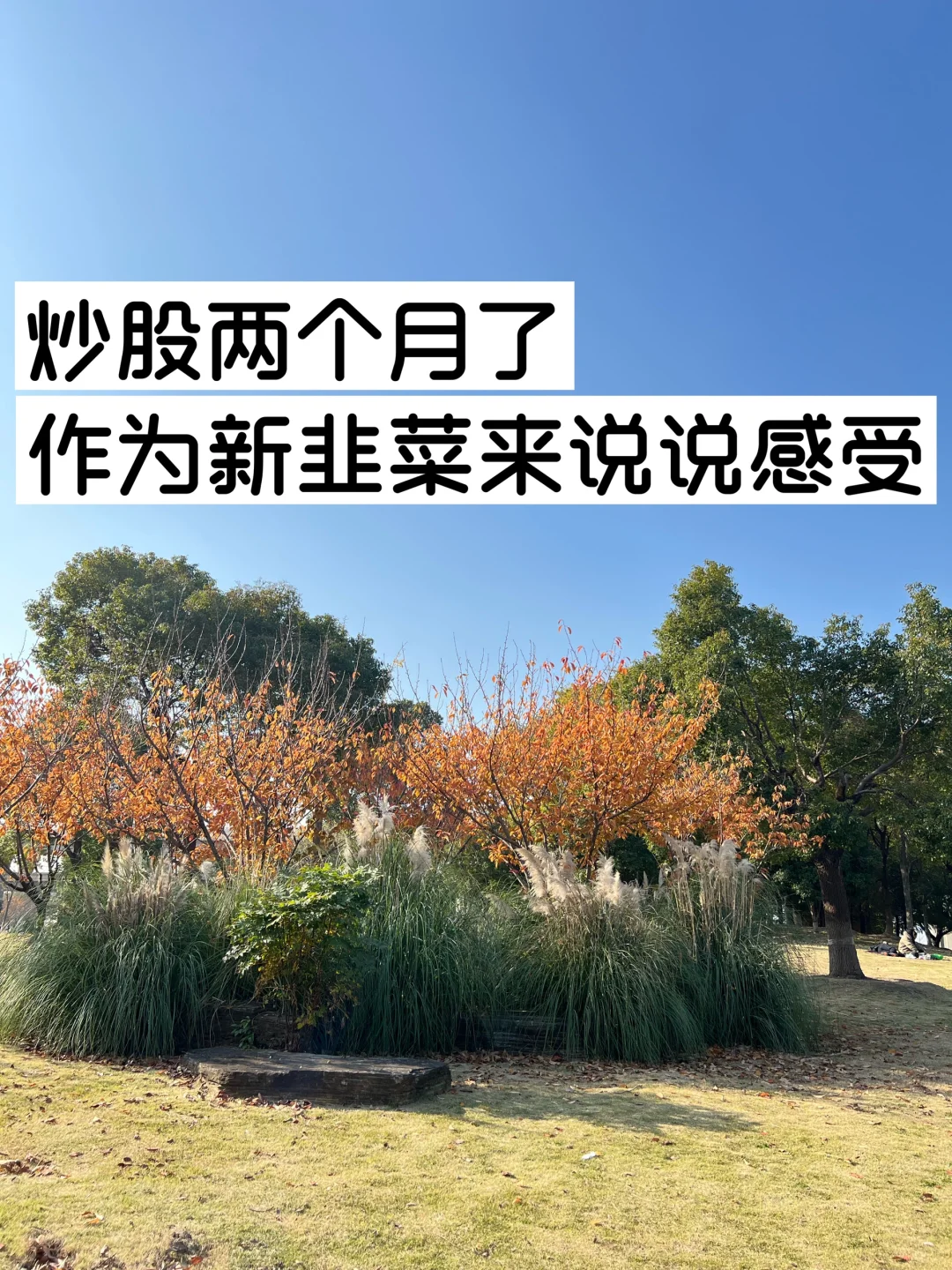 炒股两个月了，作为新韭菜来说说感受。
