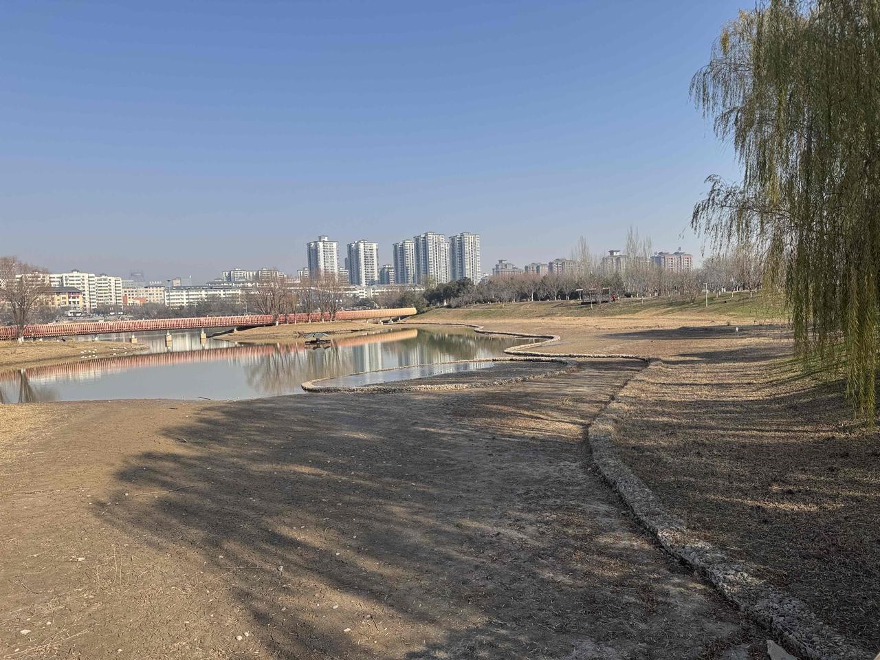 老天也不下雨，把南湖旱的都露出湖底了，大面积的湖床也已经裸露出来了，彻底失去了昔