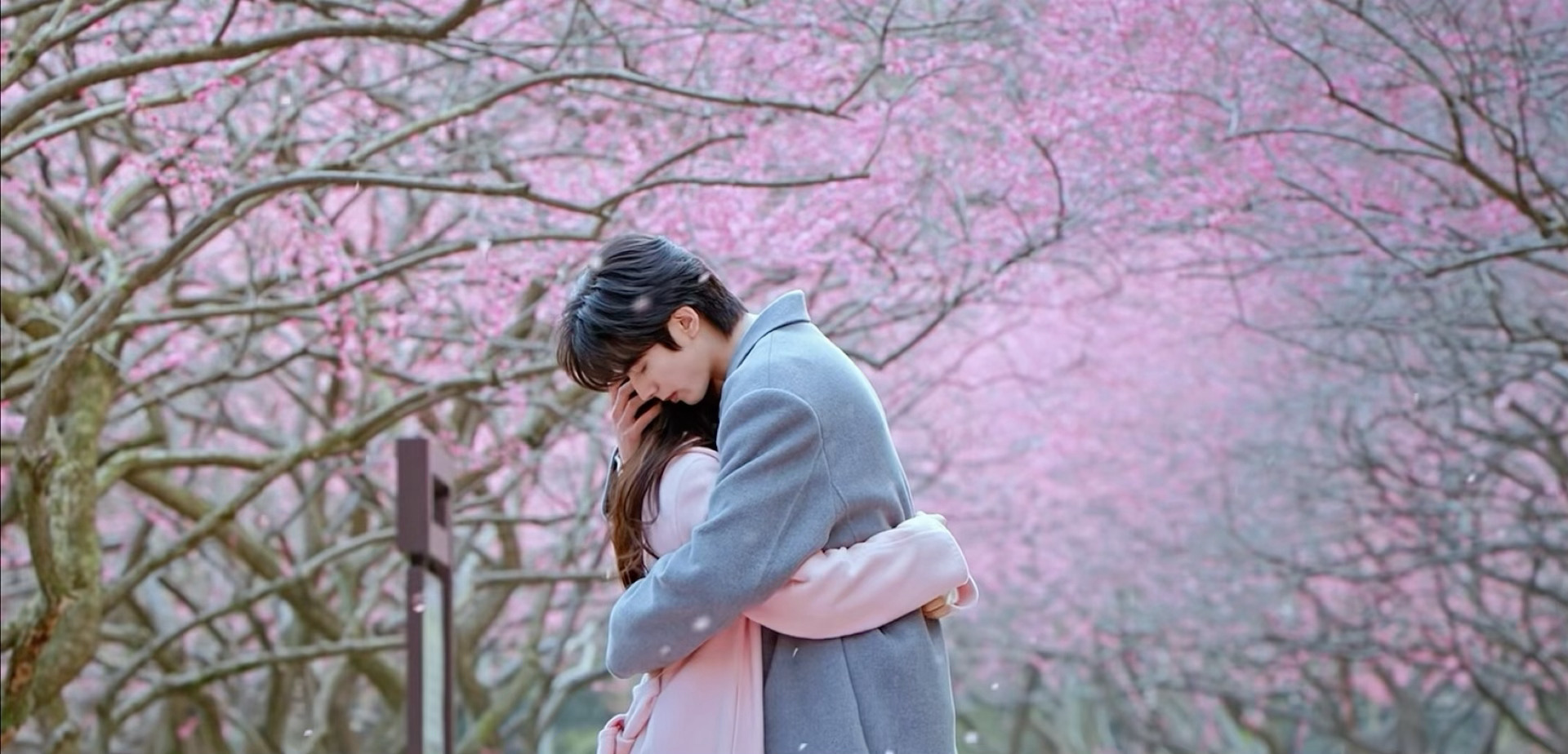 宋威龙赵今麦骄阳似我梅园拥抱这段拍的好美！！🌸