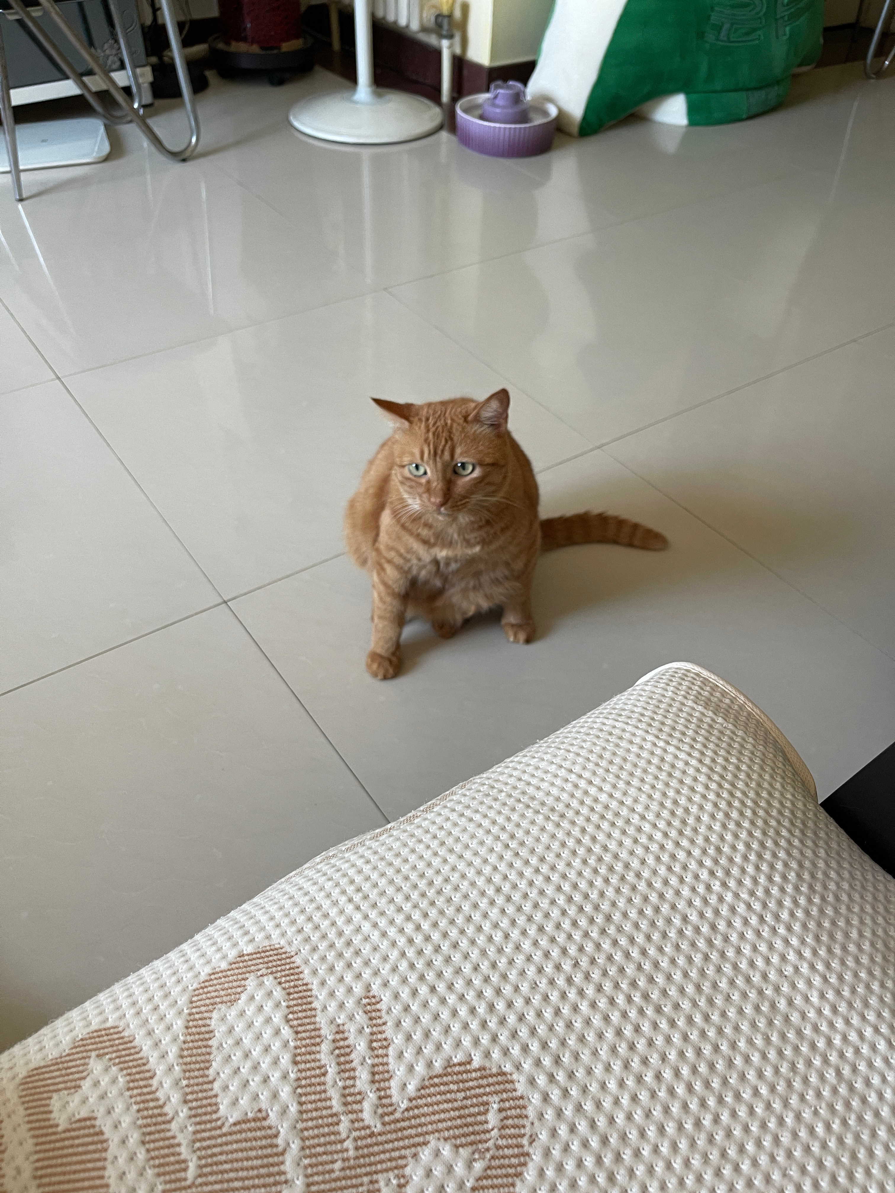 碗这个站姿我看了半天才看明白 ​​​