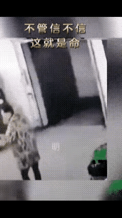 哪怕差一秒都够呛，这可能是他离死神最近的时候了吧。#还不如一只动物# #它看着很