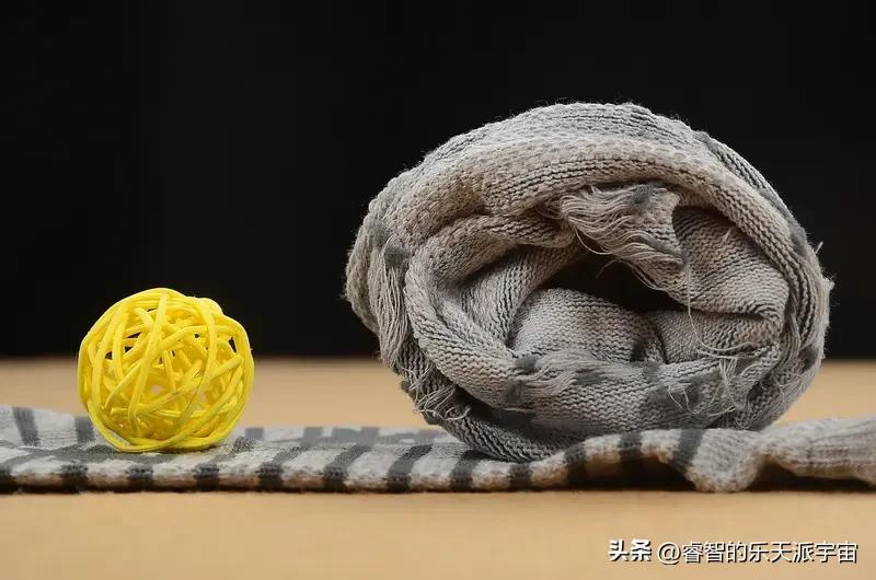 【年夜饭的围巾】
腊月二十八，厨房飘着炖肉香。
我系着新买的真丝围裙切土豆丝，婆