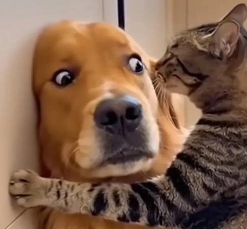 世界上最大的金融秘密已经结束。

三十年来，日本向全球输出了人类历史上最便宜的资