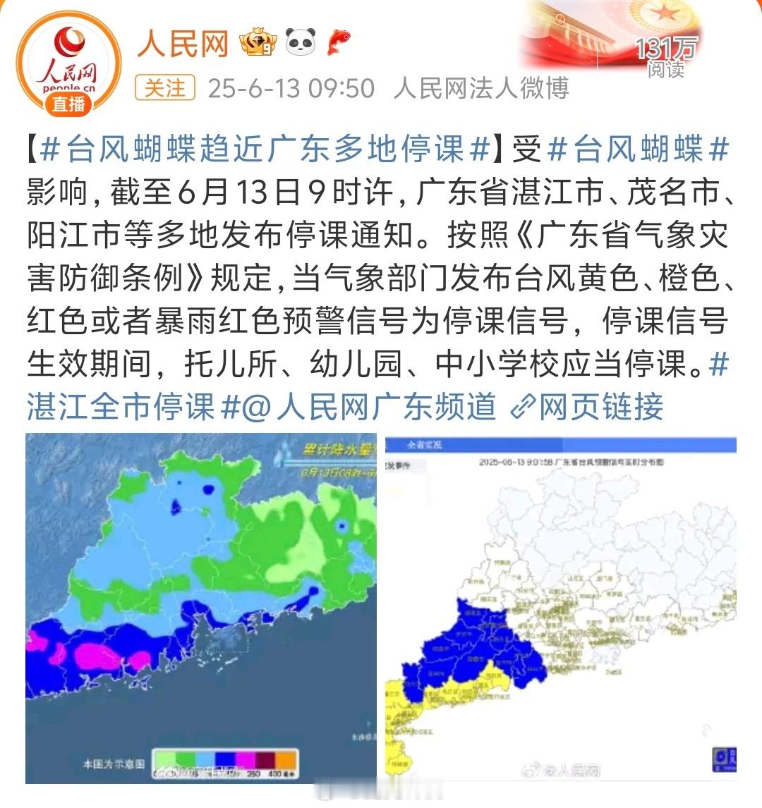 湛江全市停课台风蝴蝶快来了，看样子还挺猛，湛江，阳江，茂名等都停课了 ​​​