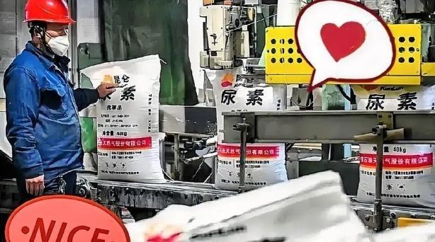 霍尔木兹海峡那边还没消停，谁能想到，咱们西北新疆、宁夏和内蒙的尿素厂却忙得脚不沾
