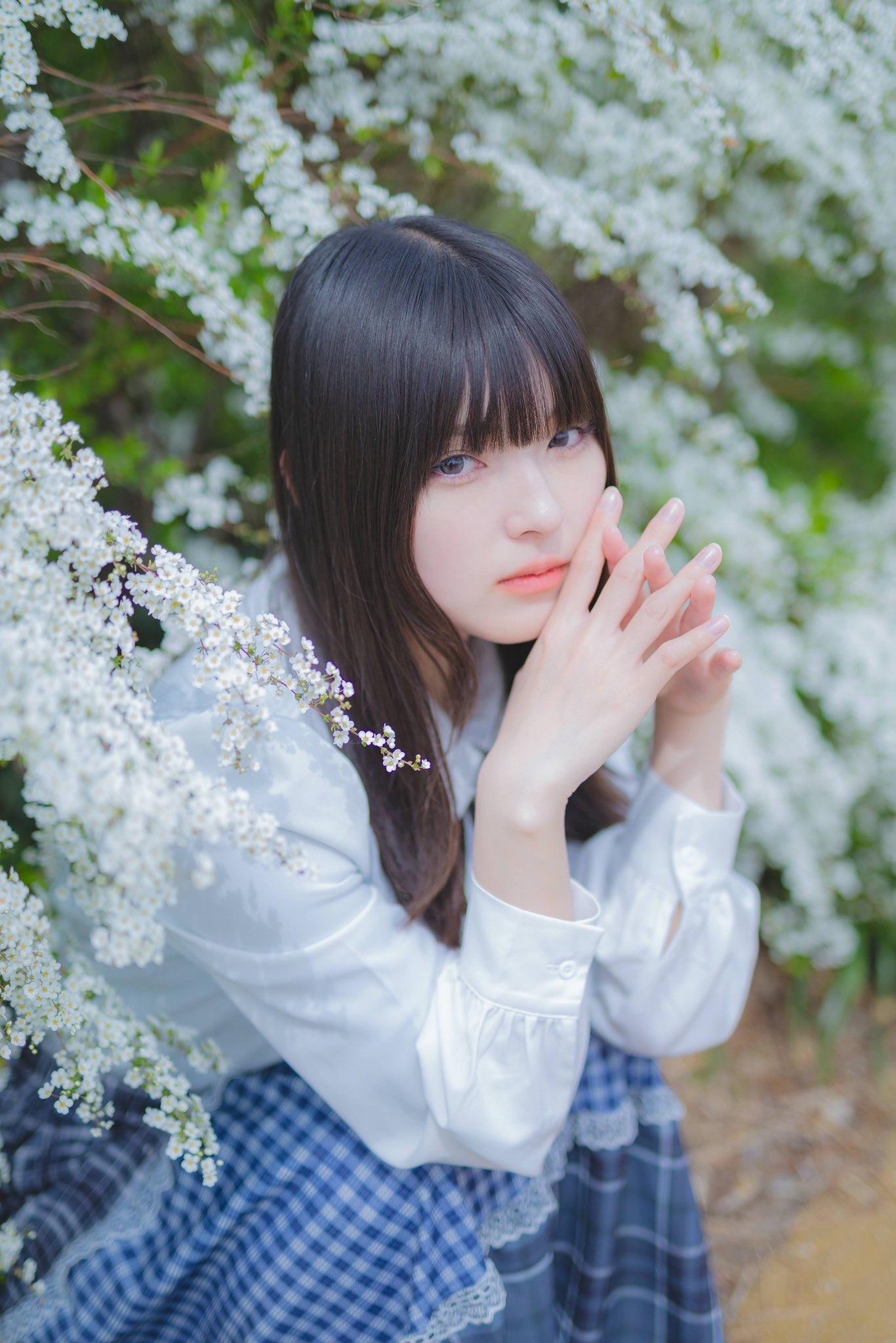 樱花 约拍 摄影约拍 jk