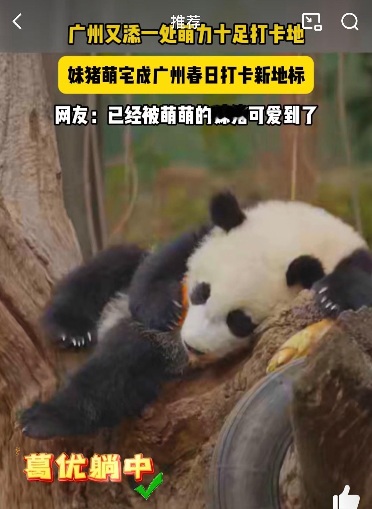 妹猪萌宅成广州春日打卡新地标 妹猪萌宅的装饰真是越来越有创意了，广州春日必打卡！