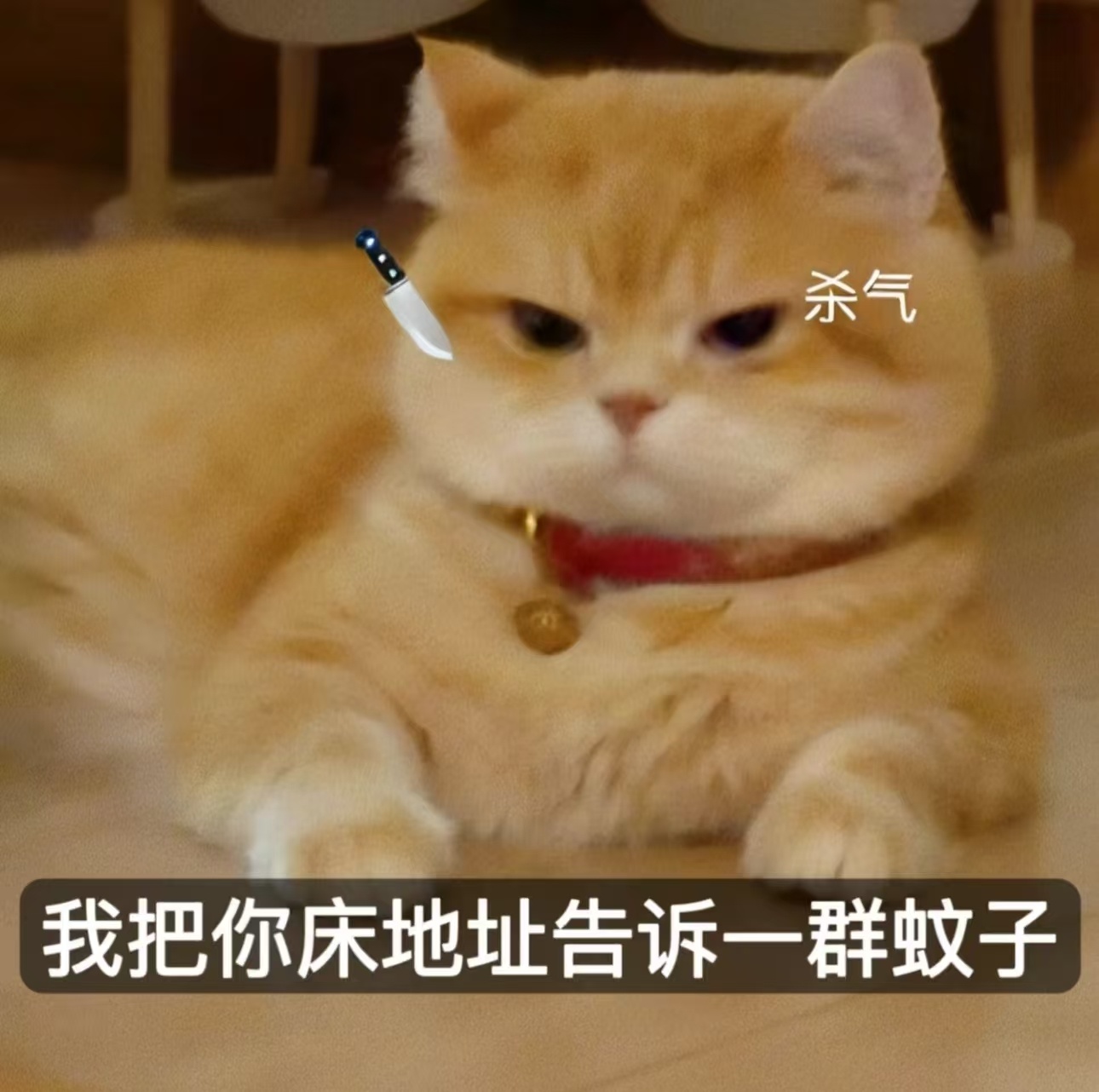 迪丽热巴 来和星星玩，不然我的手段你们是知道的！后果是很可怕的！会让你们身上全是