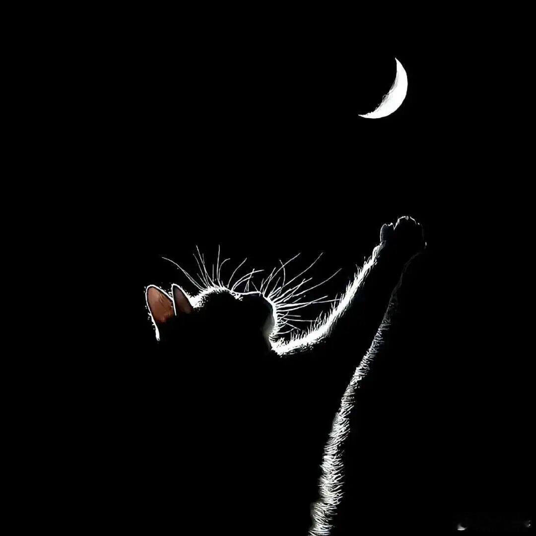 投稿:成年人的情绪，都藏在深夜里？白天假装坚强，夜里独自崩溃。成年人的世界，从不