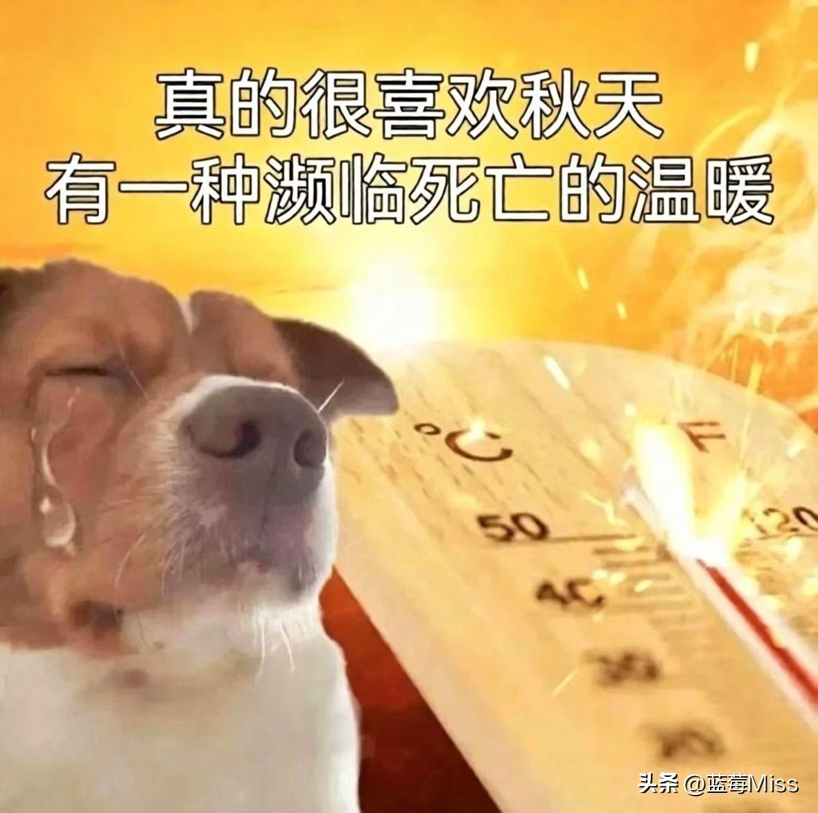 别人入秋添外套，广东入秋热到冒汗

广东告别了30°的夏天，迎来了37°的秋天。