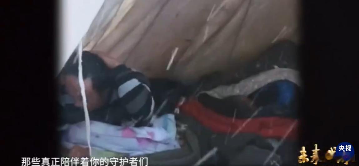 胡歌可可西里好久不见 胡歌与杨紫在《生命树》中展现了巡山队的艰辛与美好。可可西里
