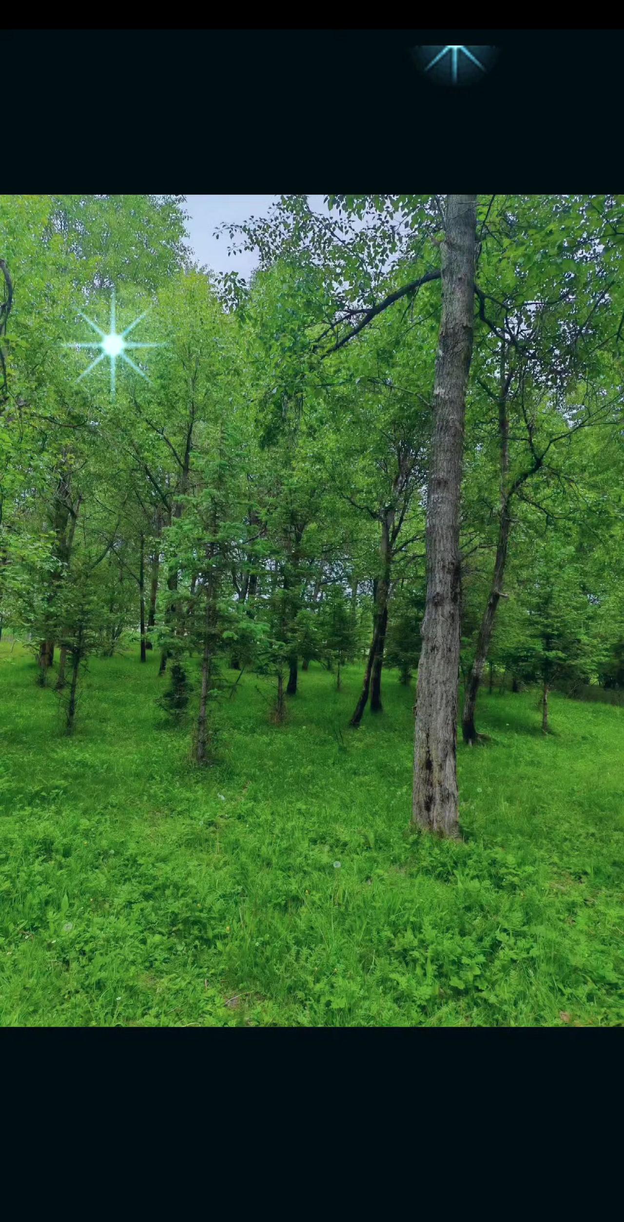 这个世界破破烂烂的 连我也是 我的人生反复崩塌和重建 连心都支离破碎…