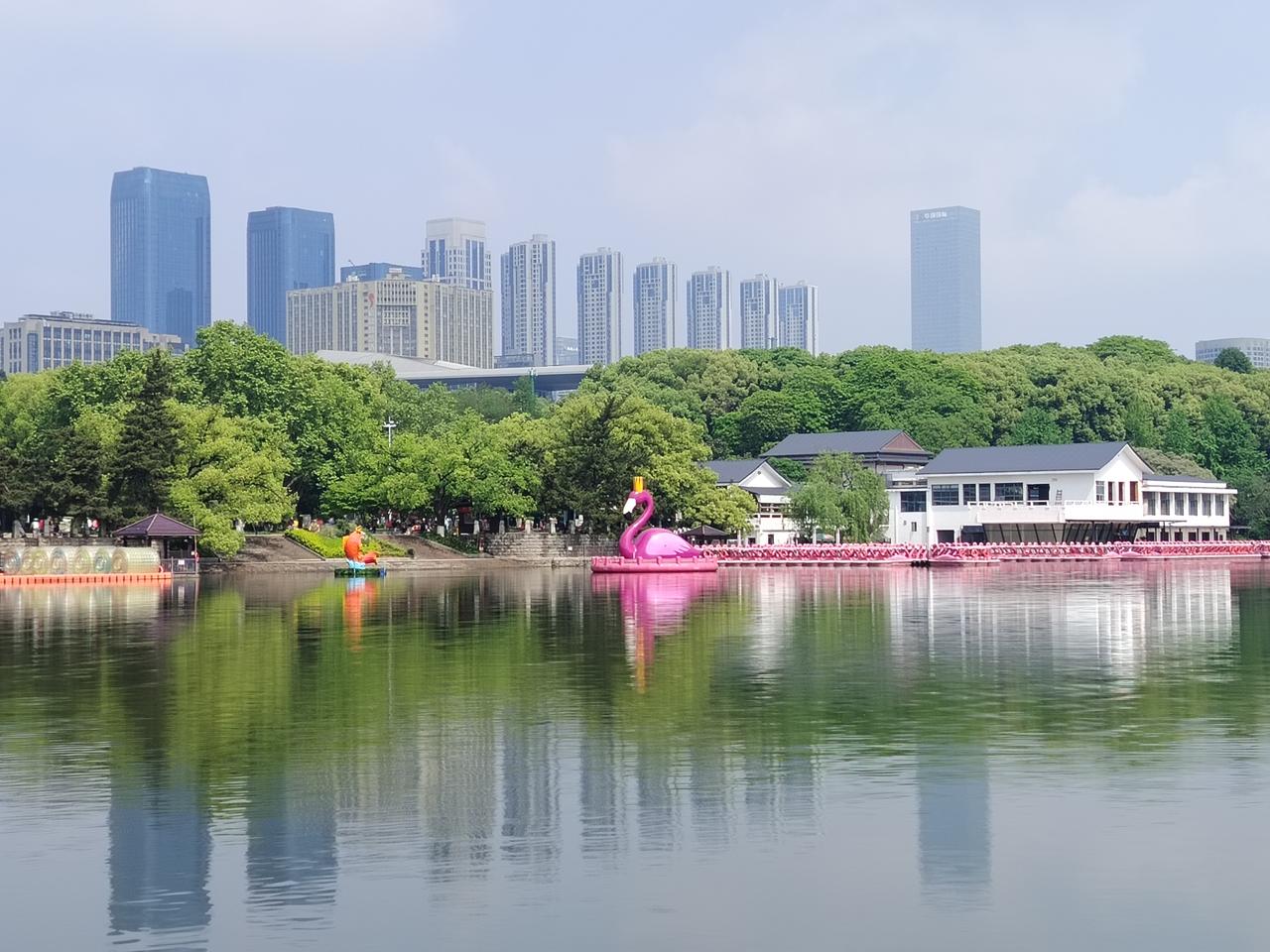 长沙烈士公园的盛夏，充满了勃勃生机，人文构架与自然风光构成了一幅幅绝美的图画。湖