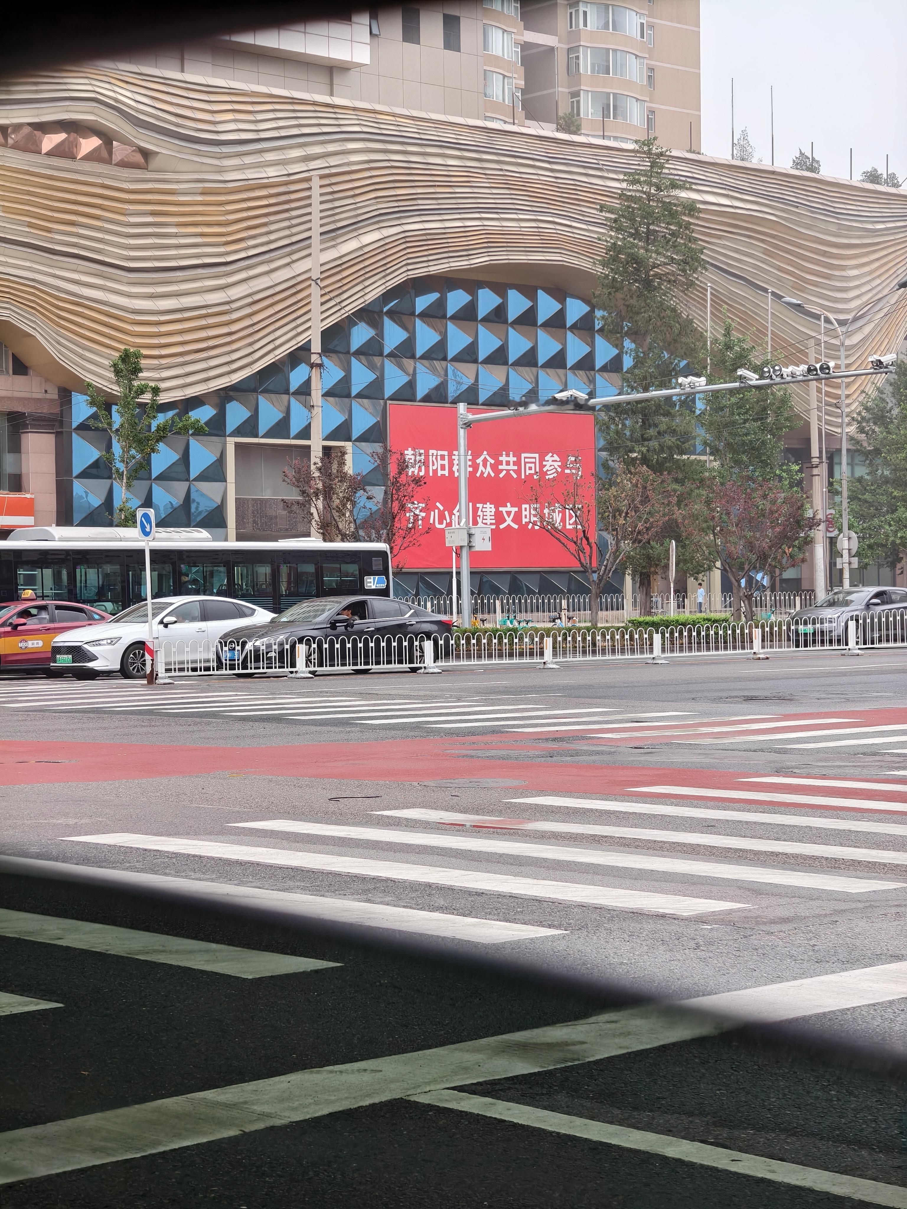 早，北京的早晨，也是黏糊糊的，这你受得了吗？[二哈]  ​​​