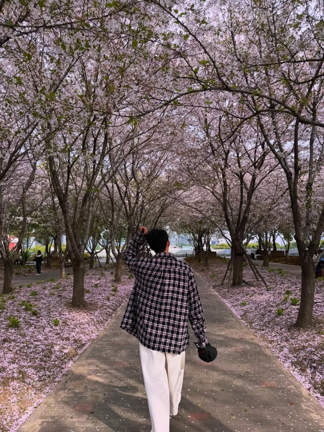 老公为什么不发微博