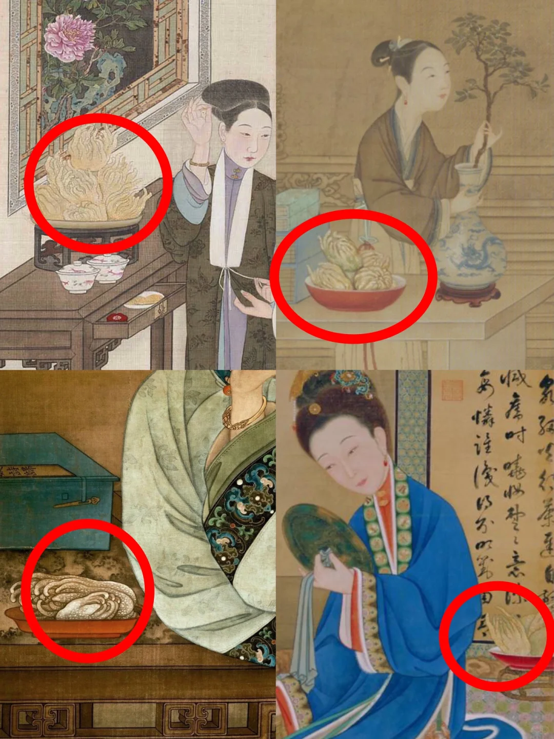 为啥都放一盆佛手柑？？