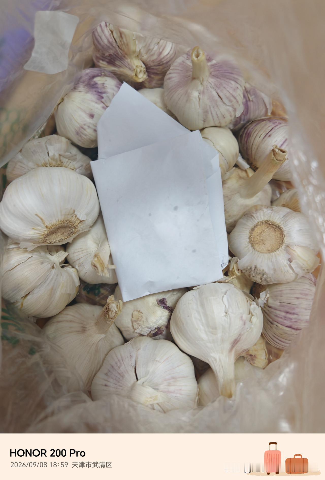 你家大蒜买多了是否因吃不完发芽的问题而烦恼呢？今天小编就给大家介绍一个储存小妙招