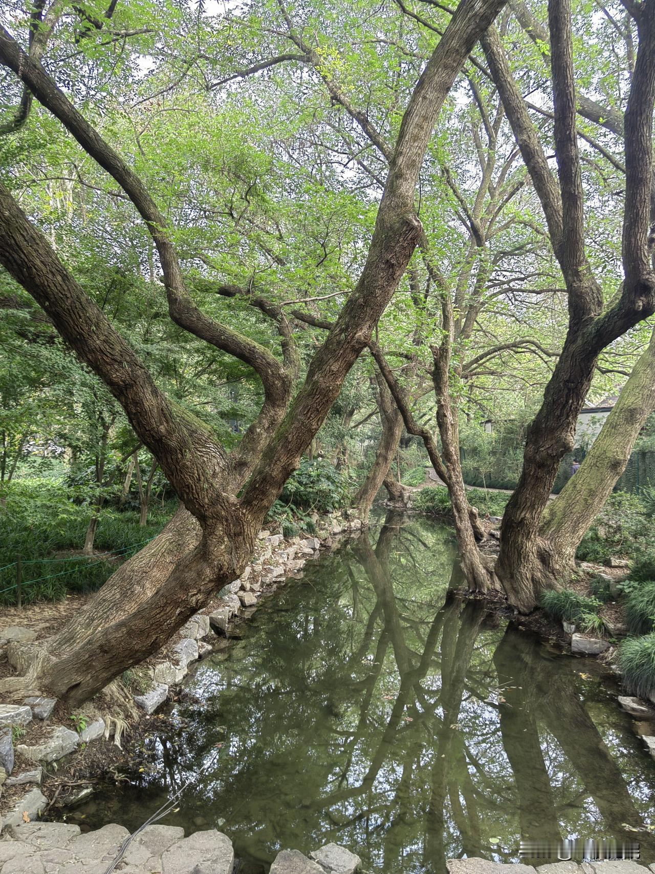 浅谈颜值与身材

       在相亲市场上，女生其实比男生更颜控。大部分普通男