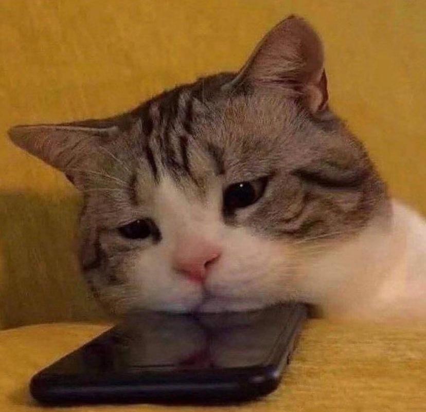 所以能动口还是别动手，被打了就带着伤去理论，不然亏的也是自己