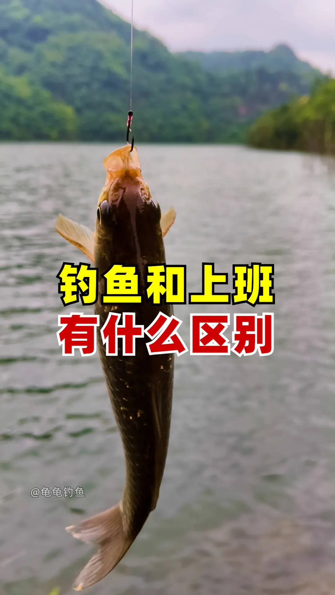 钓鱼：凌晨三点我能开开心心出发；上班：早上九点我还骂骂咧咧不想起床😂