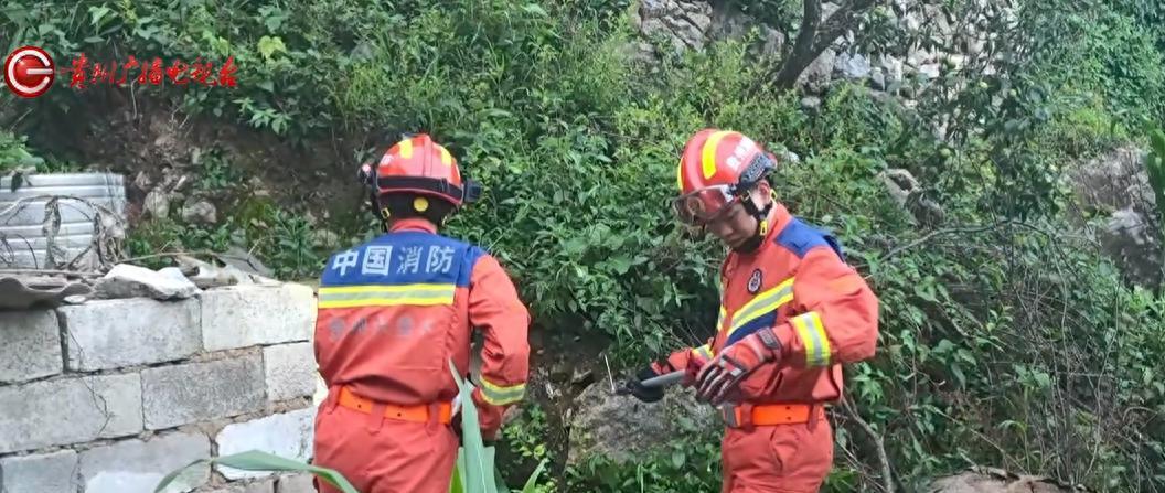 六盘水盘州，一农户家鸡圈里，空心砖缝藏着一条两米多长的眼镜王蛇，身子粗得像成年人