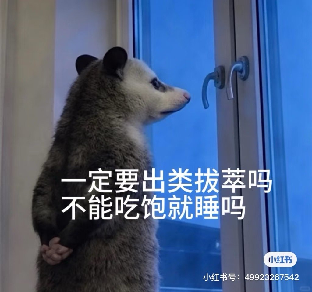 分享图片 