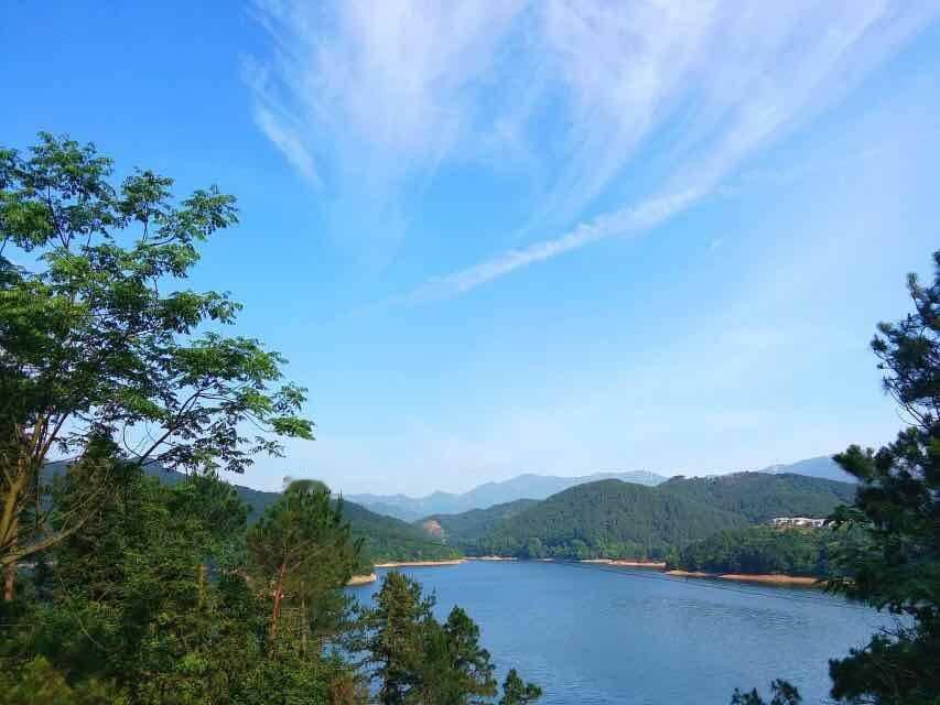 《立夏龙眠茶悟》

枫林红叶

立夏轮回节序悠，

龙眠翠茗映山柔。

农风古韵