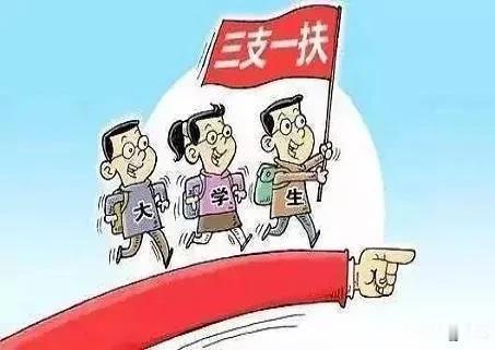 河南这次搞了个大事，“三支一扶”国家战略扶农政策被人内外勾结集体舞弊，这条相比公