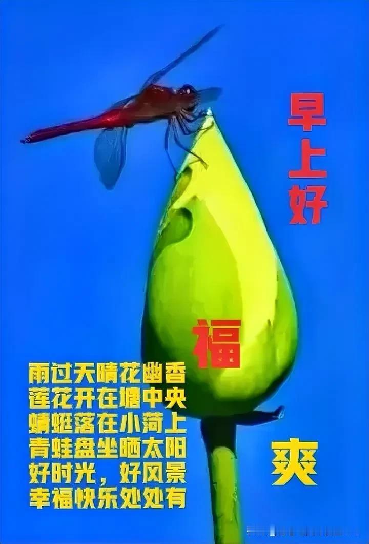 小雨过后空气爽，
百鸟欢唱花草香；

心旷神怡心情好，
约约好友整二两；

聊聊