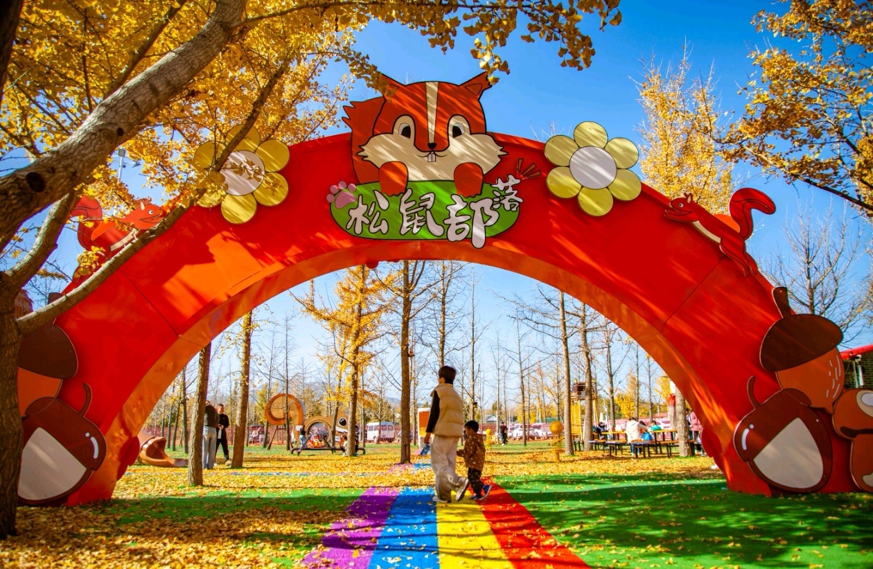 金秋十月，莱州市郭家店镇小草沟村银杏叶染金，秋色如画。11月1日，第十届“小草秋