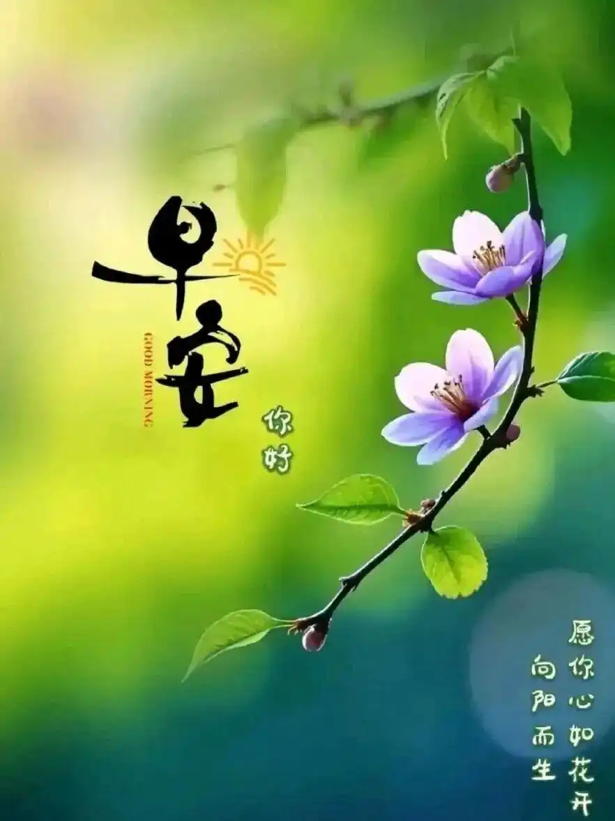 🌹早安！新的一天如约而至，新周携暖意而来，一句问候藏尽心底真情。      原